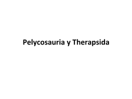 Pelycosauria Y Therapsida