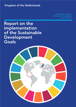 Report on the Implementation of the Sustainable Development Goals