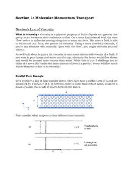 Section 1: Molecular Momentum Transport