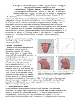 Is Styloglossus Critical for Tongue Elevation?