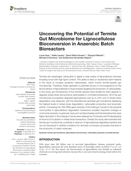 Uncovering the Potential of Termite Gut Microbiome for Lignocellulose Bioconversion in Anaerobic Batch Bioreactors