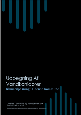 Udpegning Af Vandkorridorer – Klimatilpasning I Odense Kommune