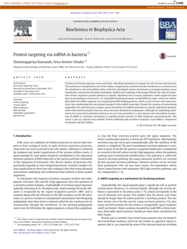 Protein Targeting Via Mrna in Bacteria☆