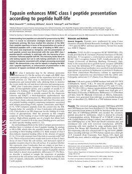 Tapasin Enhances MHC Class I Peptide Presentation According to Peptide Half-Life