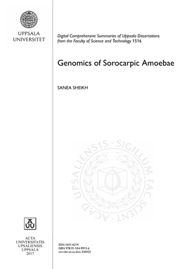 Genomics of Sorocarpic Amoebae