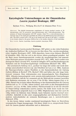 Karyologische Untersuchungen an Der Omaneidechse Lacerta Jayakari Boulenger, 1887