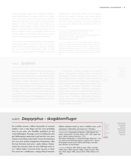 Släkte Dasysyrphus – Skogsblomflugor TRIBUS Syrphini