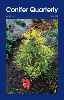 Conifer Quarterly