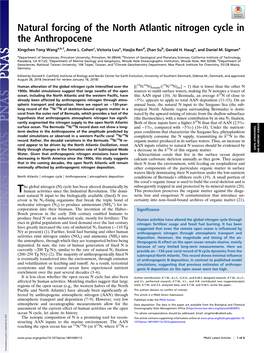 Natural Forcing of the North Atlantic Nitrogen Cycle in the Anthropocene