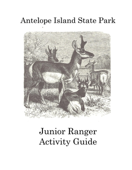 Junior Ranger Booklet