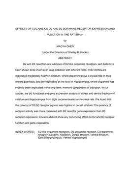 Effects of Cocaine on D2 and D3 Dopamine Receptor Expression And