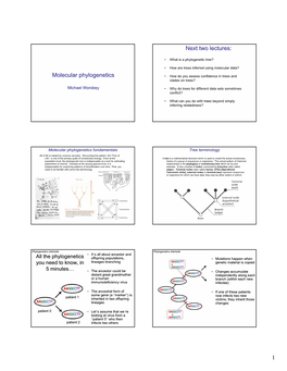 Molecular Phylogenetics Next Two Lectures