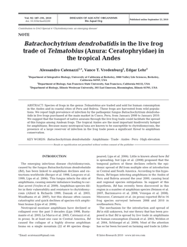 Batrachochytrium Dendrobatidis in the Live Frog Trade of Telmatobius (Anura: Ceratophryidae) in the Tropical Andes