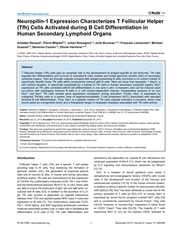 (Tfh) Cells Activated During B Cell Differentiation in Human Secondary Lymphoid Organs