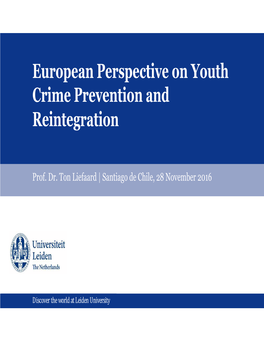 European Perspective on Youth Crime Prevention and Reintegration