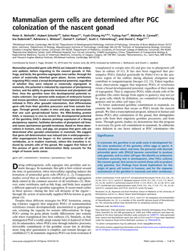 Mammalian Germ Cells Are Determined After PGC Colonization of the Nascent Gonad