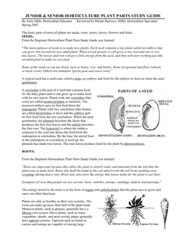 Junior & Senior Horticulture Plant Parts Study Guide