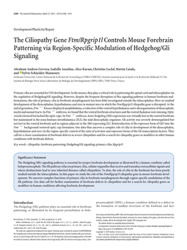 The Ciliopathy Gene Ftm/Rpgrip1l Controls Mouse Forebrain Patterning Via Region-Specific Modulation of Hedgehog/Gli Signaling