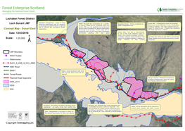 Concept Mapï - Sunart East from Local Seed Sources