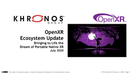 Openxr Ecosystem Update Bringing to Life the Dream of Portable Native XR July 2020