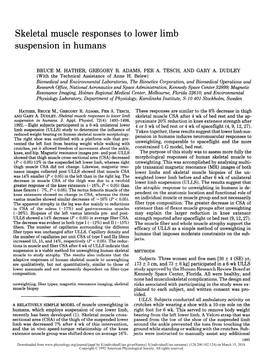 Skeletal Muscle Responses to Lower Limb Suspension in Humans