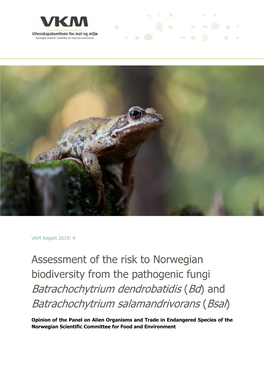 Risikovurdering Av Bd Og Bsal Samt Cytridiomykose I Norge