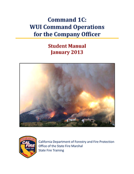 Command 1C: WUI Command Operations for the Company Officer