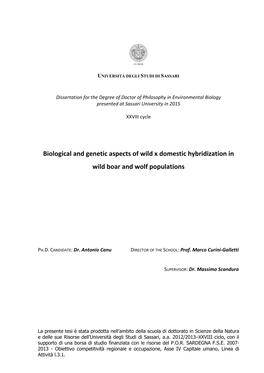 Biological and Genetic Aspects Wild Boar