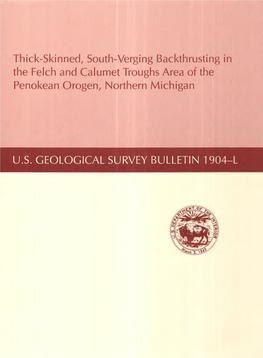 Thick-Skinned, South-Verging Backthrusting in the Felch and Calumet Troughs Area of the Penokean Orogen, Northern Michigan