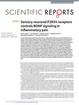Sensory Neuronal P2RX4 Receptors Controls BDNF Signaling In