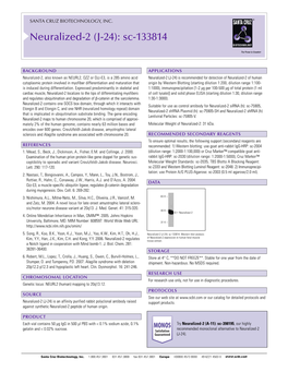 Datasheet Blank Template