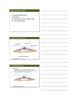 Organogenesis Part 2 ______