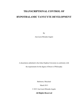 Transcriptional Control of Hypothalamic Tanycyte