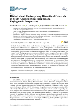 Historical and Contemporary Diversity of Galaxiids in South America: Biogeographic and Phylogenetic Perspectives