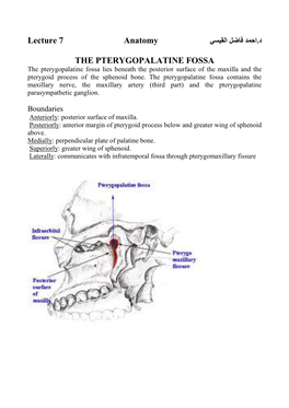 Lecture 7 Anatomy the PTERYGOPALATINE FOSSA