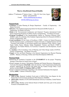 Curriculum Vitae of Prof