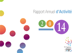 Rapport Annuel D'activité