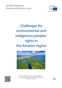 Challenges for Environmental and Indigenous Peoples' Rights in The