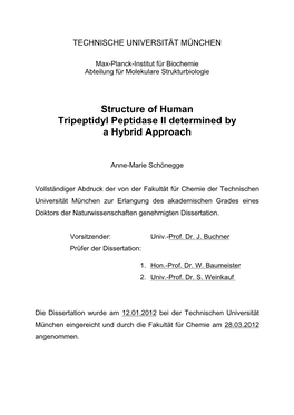 Structure of Human Tripeptidyl Peptidase II Determined by a Hybrid Approach