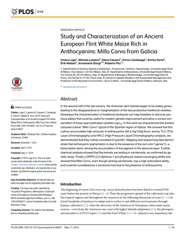 Study and Characterization of an Ancient European Flint White Maize Rich in Anthocyanins: Millo Corvo from Galicia