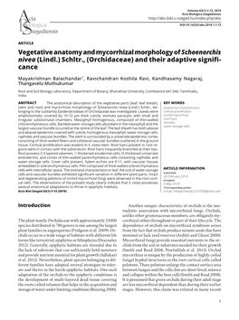 Vegetative Anatomy and Mycorrhizal Morphology of Schoenorchis Nivea (Lindl.) Schltr., (Orchidaceae) and Their Adaptive Signifi- Cance