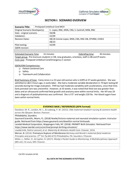 Section I: Scenario Overview