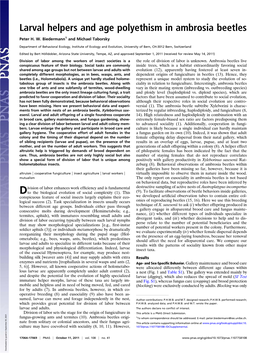 Larval Helpers and Age Polyethism in Ambrosia Beetles