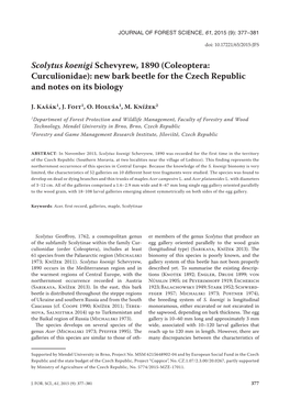 Scolytus Koenigi Schevyrew, 1890 (Coleoptera: Curculionidae): New Bark Beetle for the Czech Republic and Notes on Its Biology