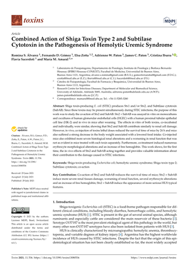 Combined Action of Shiga Toxin Type 2 and Subtilase Cytotoxin in the Pathogenesis of Hemolytic Uremic Syndrome