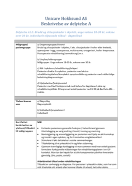Unicare Hokksund AS Beskrivelse Av Delytelse A