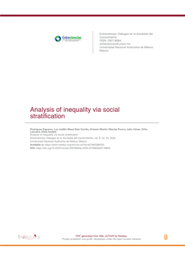 Analysis of Inequality Via Social Stratification