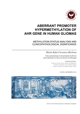 Aberrant Promoter Hypermethylation of AHR Gene in Human Gliomas: Methylation Status and Clinicopathological Significance
