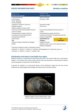 SPECIES INFORMATION SHEET Modiolus Modiolus