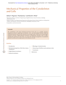 Mechanical Properties of the Cytoskeleton and Cells